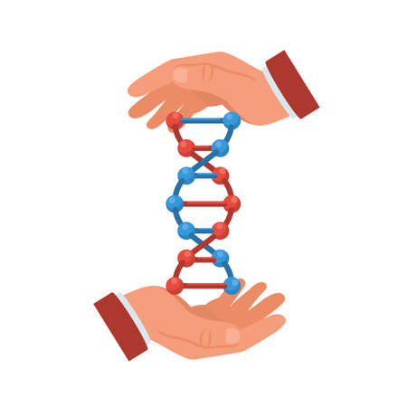 DNA structure holding doctor in hands. DNA icon. Vector illustration flat design. Isolated on white background. Scientific spiral DNA. Structure of molecules. Hand gesture as symbol of save and safetyのイラスト素材