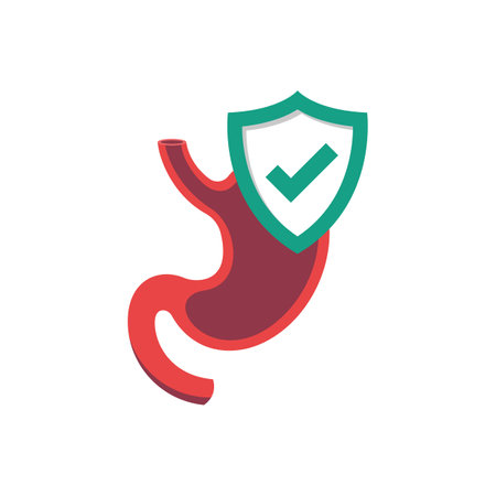 Stomach protection. Safety human. Shield symbol of protection of the human stomach. Healthcare concept. Safety of the digestive system. Vector illustration flat design. Isolated on white background.のイラスト素材