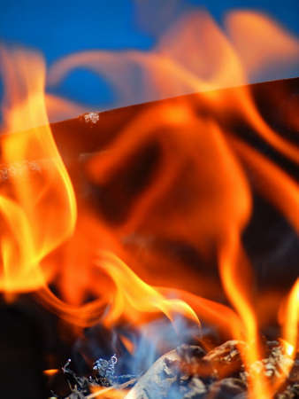 burnt firewoodの写真素材