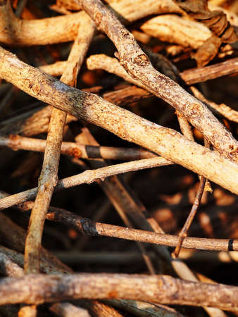 mass of firewoodの写真素材