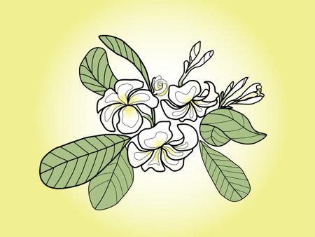 Pagoda Flower or temple flower in yellow backgroundのイラスト素材