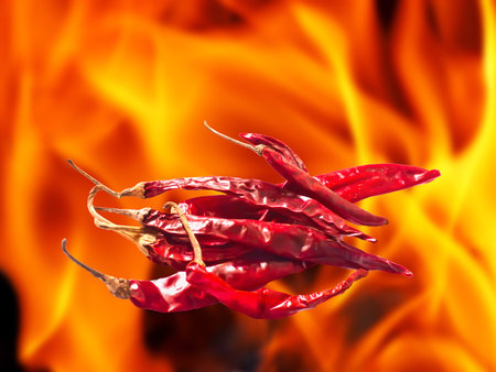 hot and spicy dried chili with flame backgroundの写真素材