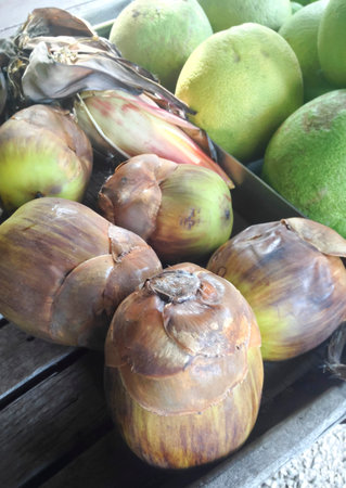 Sugar Palm or toddy Palm in paddling boat