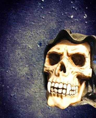 horror skull with canine teeth on concrete wall backgroundの写真素材