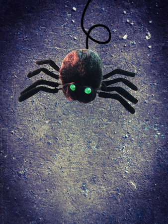 black spider monster on concrete wall background for concept of halloweenの写真素材