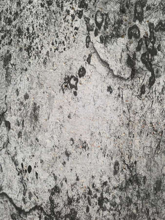 raw concrete panel background or textureの写真素材