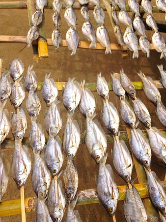 dry out fish stab in bamboo stick lay on daylightの写真素材