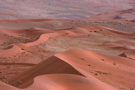 Red Dunes, Namibiaの写真素材