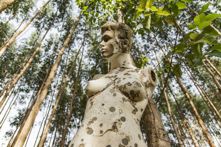 abandoned mannequin in forestの写真素材