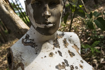 abandoned mannequin in forestの写真素材