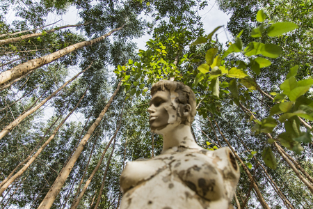 abandoned mannequin in forestの写真素材