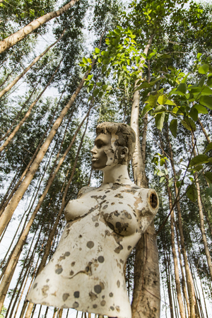 abandoned mannequin in forestの写真素材