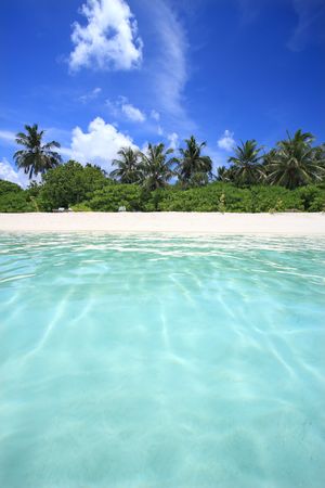 View of island and tropical sea, Maldivesの写真素材