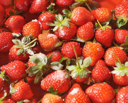 fresh strawberry in water with salt.の写真素材