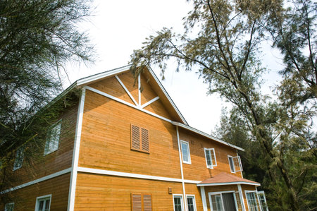 Beautiful log house  in the middle of thick forest.のeditorial素材