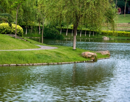 Lakeside garden and weeping willow tree.の写真素材