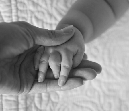 detail of new born babies tiny hand resting in adult hand
の写真素材