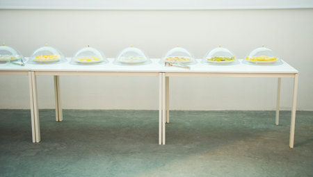 Party miniature cakes in translucent buffet trays, ready for service.の写真素材