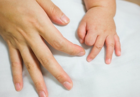 Child and adult hands. Taken on a clean white background.
の写真素材