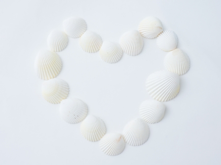 A heart made of sea shells.の写真素材