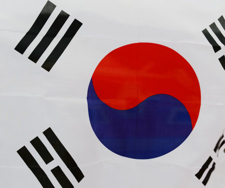 Close up shot of wavy South Korea flag. 