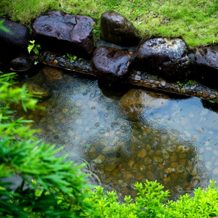 garden with stones, water and bushes の写真素材