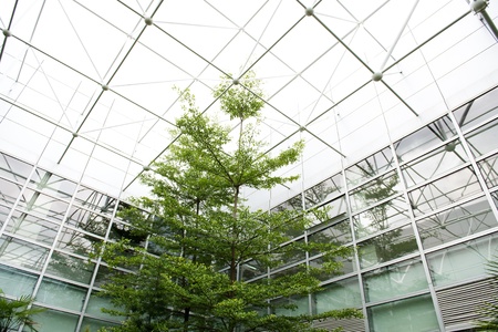 Office building and green tree, business concept のeditorial素材