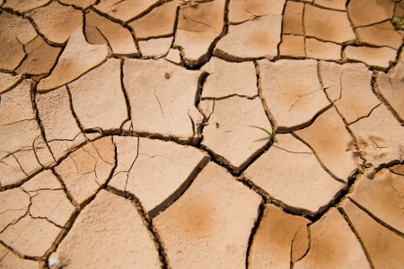 cracked clay ground into the dry season の写真素材