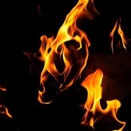 Burning fire flames on a black background.の写真素材