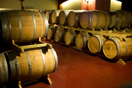 Wine cellar with many wine barrels.