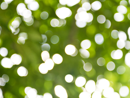 natural green background with bokeh circles.の写真素材