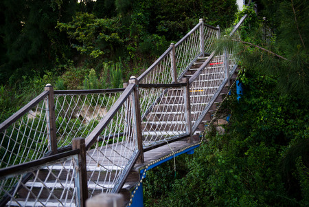 wooden bridge in the gardenの写真素材