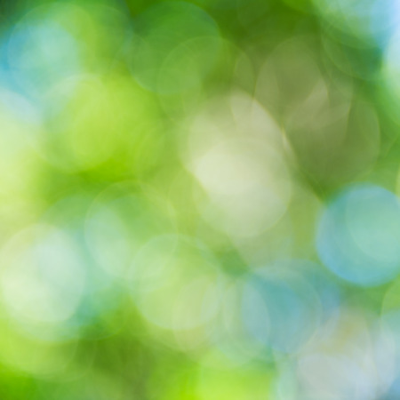 natural green background with bokeh circles.の写真素材
