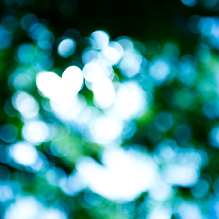 natural green background with bokeh circles.の写真素材