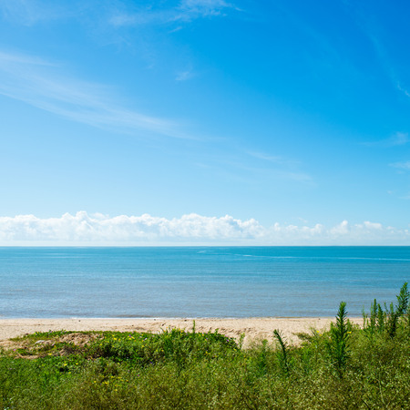 beautiful scence of tropical seaの写真素材