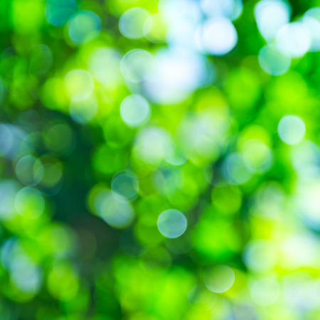 natural green background with bokeh circles.の写真素材