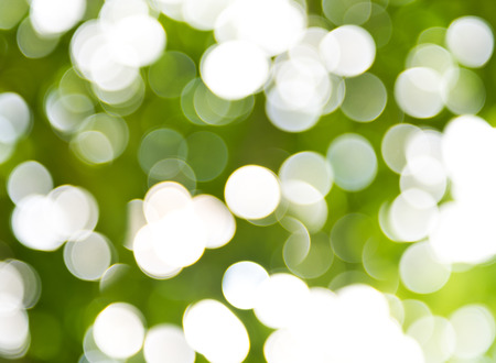 natural green background with bokeh circles.の写真素材