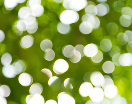 natural green background with bokeh circles.の写真素材