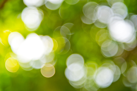 natural green background with bokeh circles.の写真素材