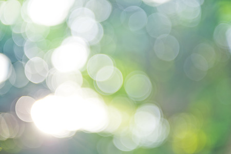 natural green background with bokeh circles.の写真素材