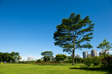 park and modern building in the city.の写真素材