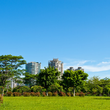 park and modern building in the city.の写真素材