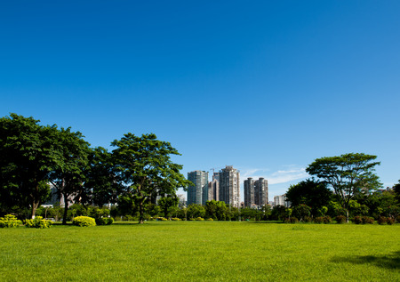 park and modern building in the city.の写真素材