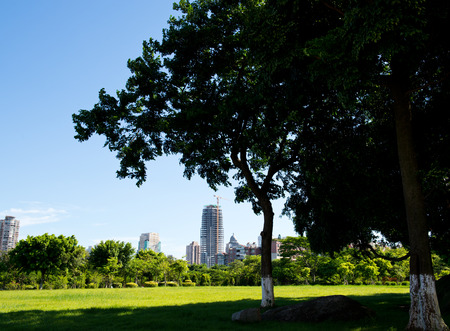 park and modern building in the city.の写真素材