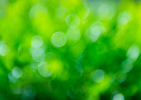 natural green background with bokeh circles.の写真素材