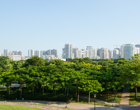 park and modern building in the city.の写真素材