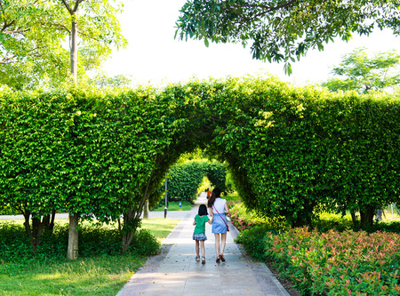 Green archway in the park at summer.の写真素材