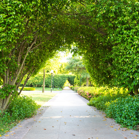 Green archway in the park at summer.の写真素材