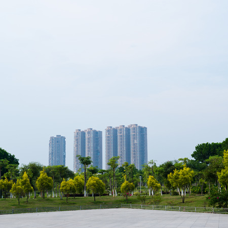 park and modern building in the city.の写真素材