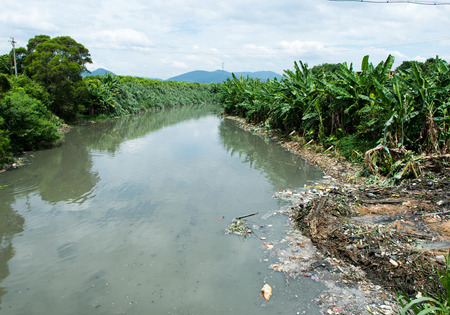 Water pollution in river with trash.の写真素材